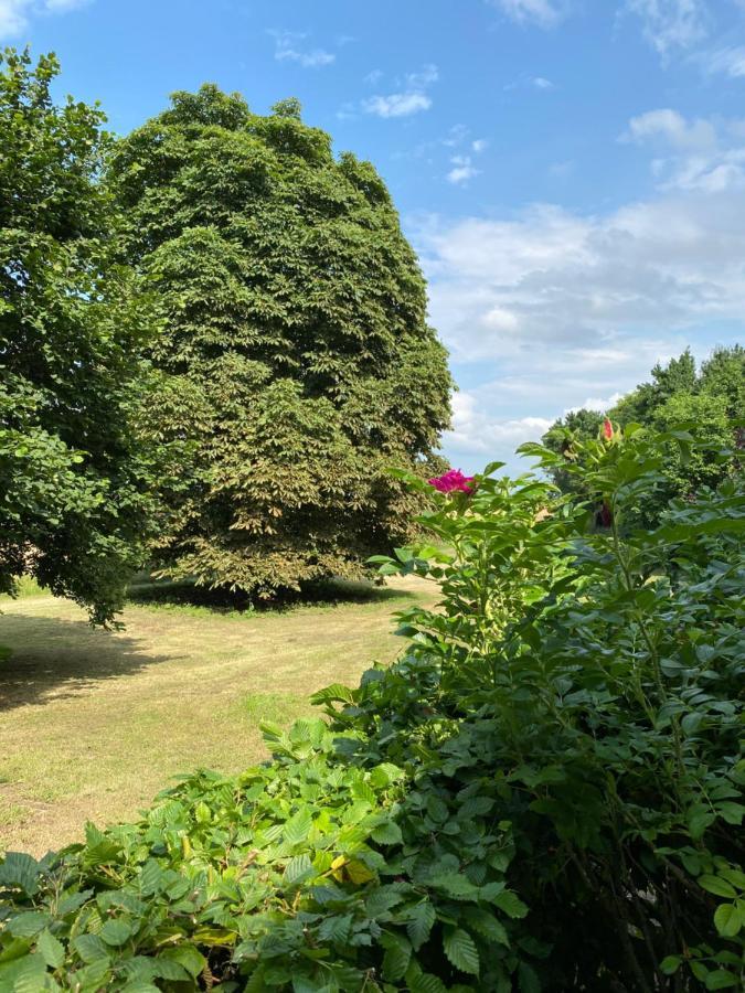 Altes Pastorat Schwichtenberg Borrentin Esterno foto